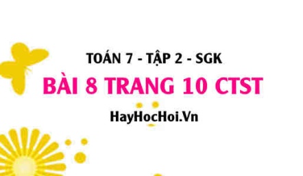 Bài 8 trang 10 Toán 7 Tập 2 Chân trời sáng tạo